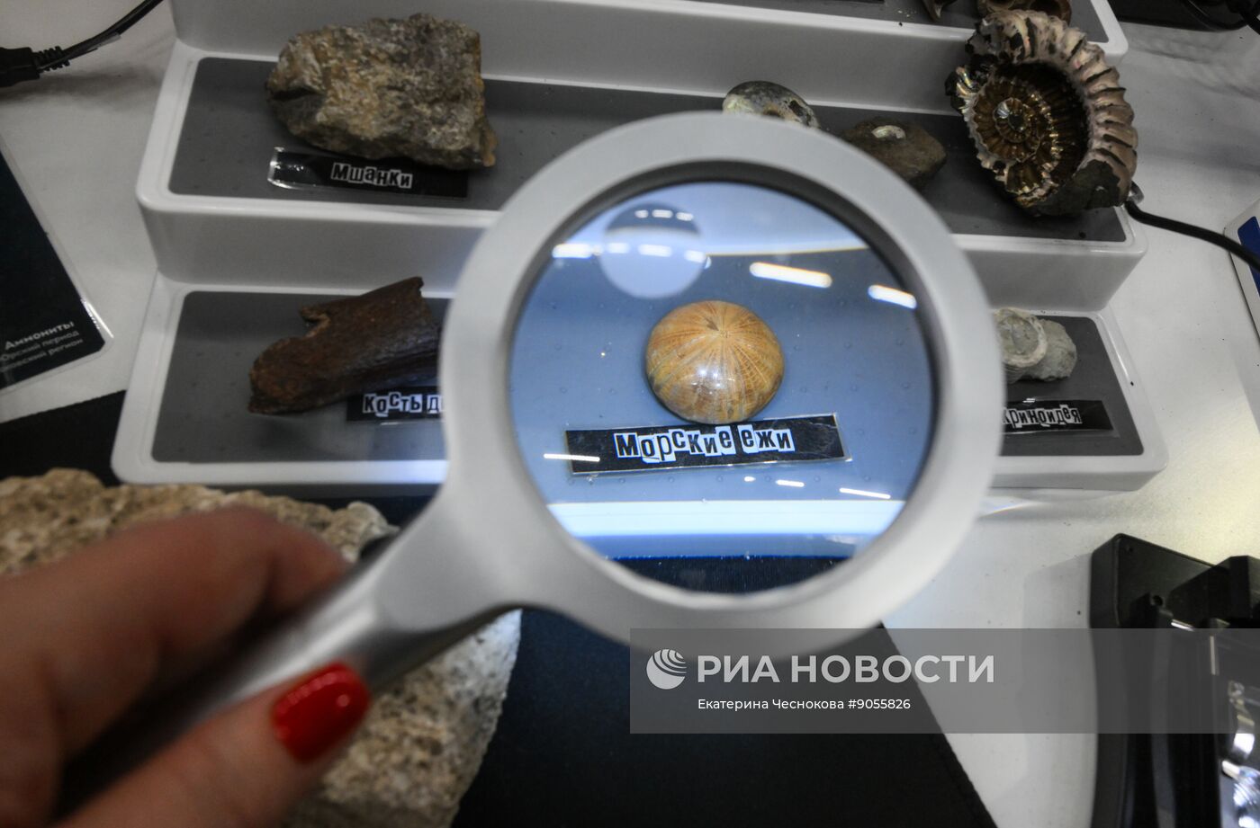 КМУ-2025. Работа конгресса