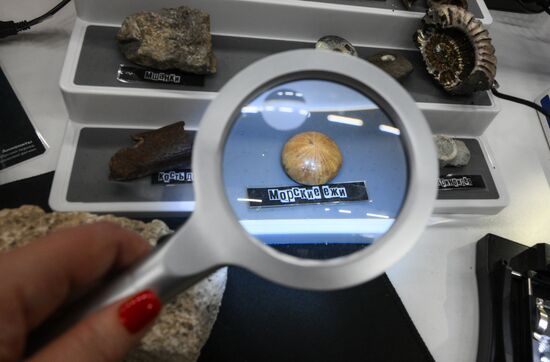 КМУ-2025. Работа конгресса