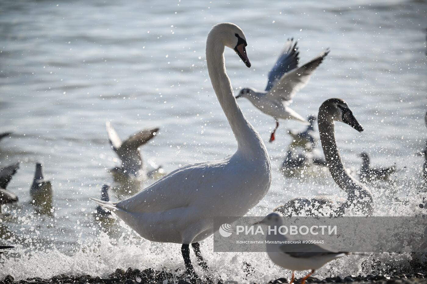Повседневная жизнь в Крыму