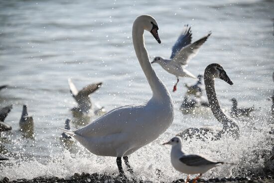 Повседневная жизнь в Крыму