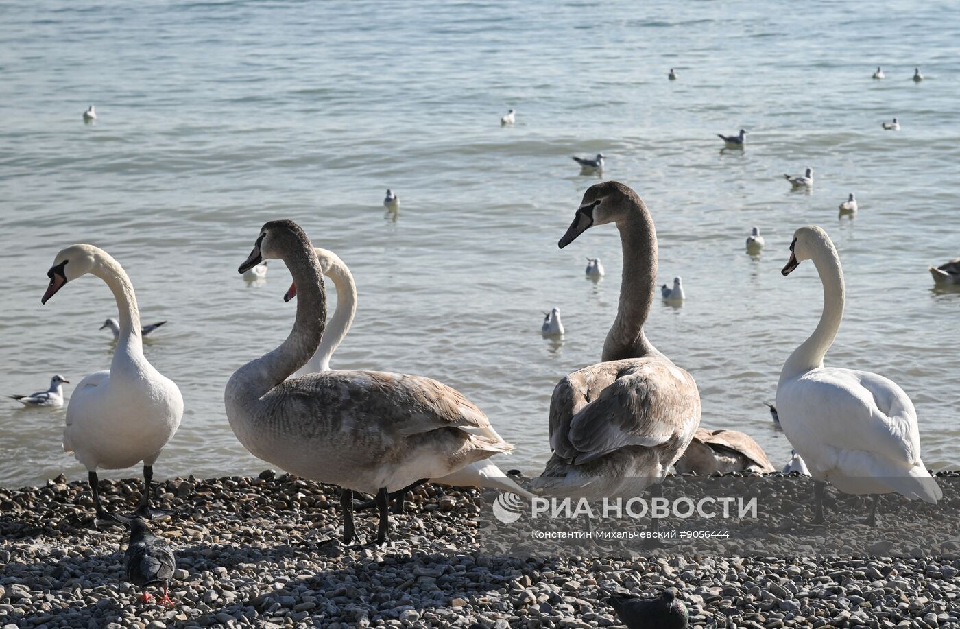 Повседневная жизнь в Крыму