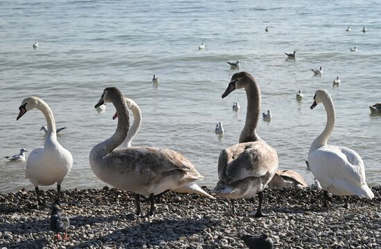 Повседневная жизнь в Крыму