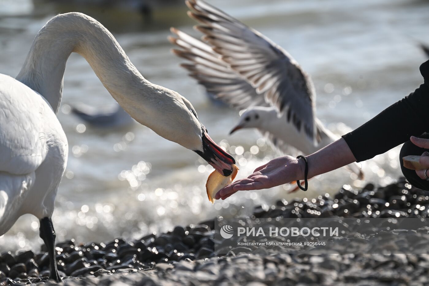 Повседневная жизнь в Крыму