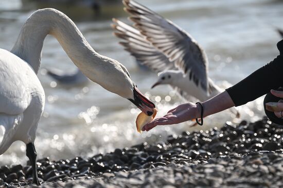 Повседневная жизнь в Крыму