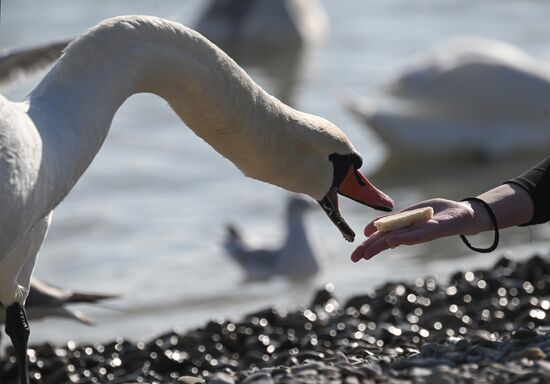 Повседневная жизнь в Крыму
