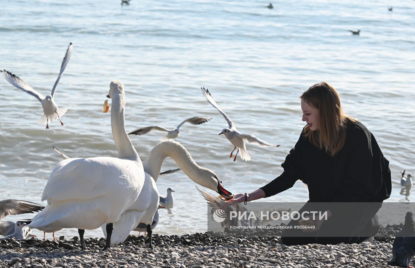 Повседневная жизнь в Крыму