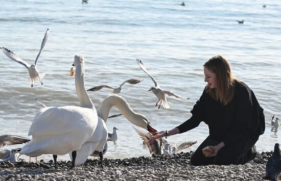 Повседневная жизнь в Крыму