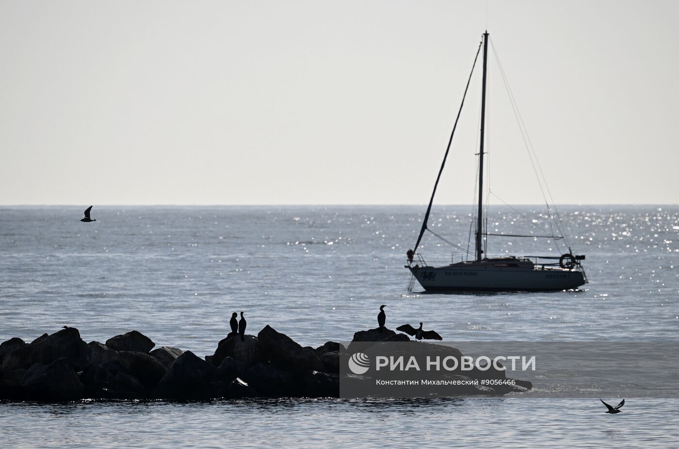 Повседневная жизнь в Крыму
