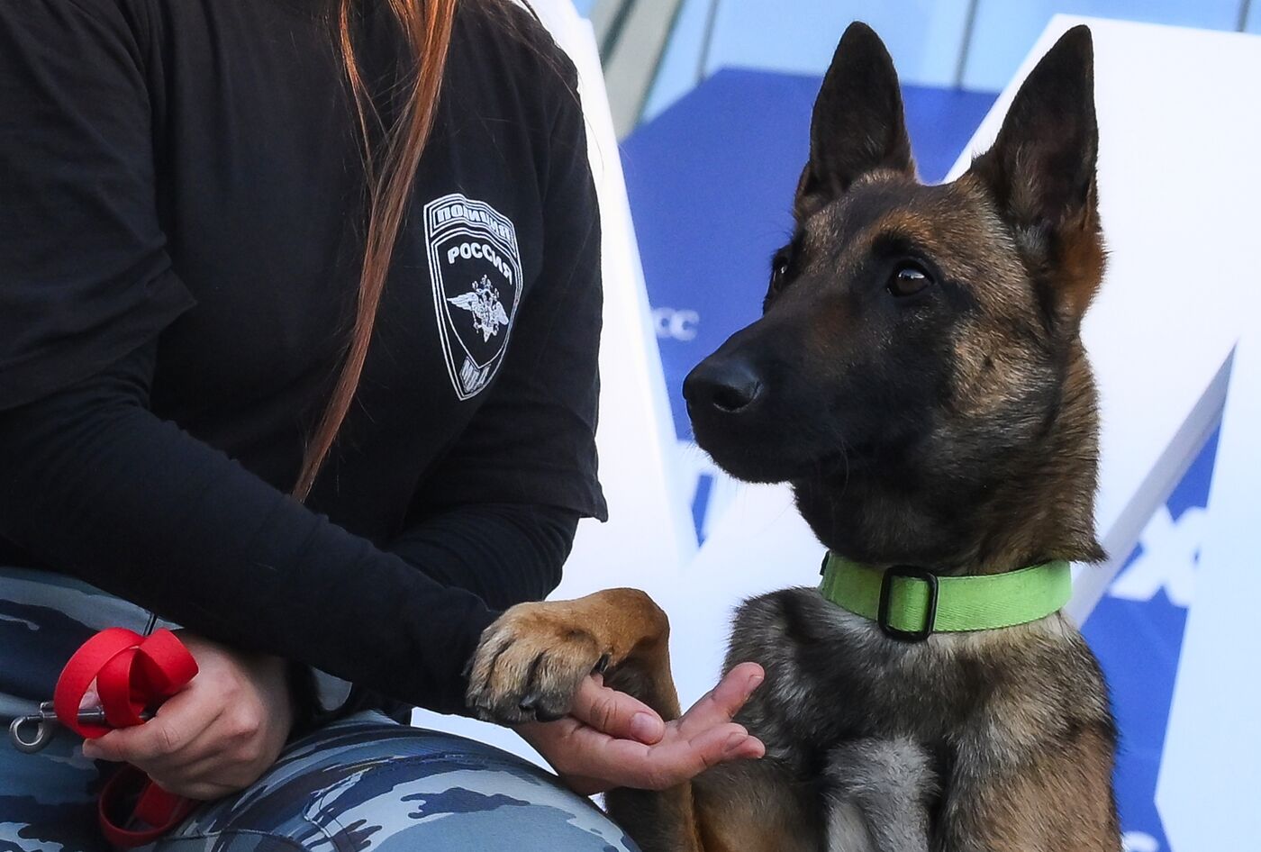 КМУ-2025. Работа конгресса