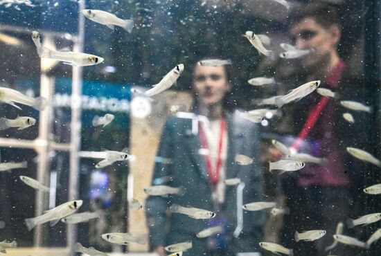 КМУ-2025. Работа конгресса 