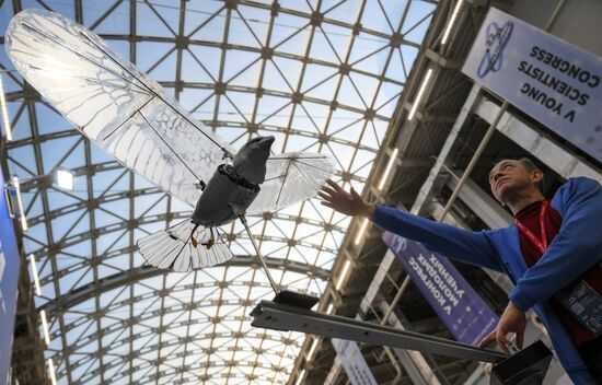 КМУ-2025. Работа конгресса