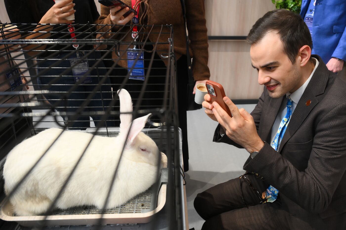 КМУ-2025. Работа конгресса