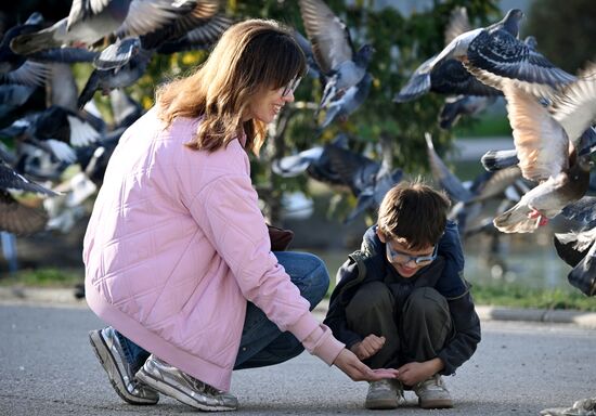 30 ноября в России отмечается День матери