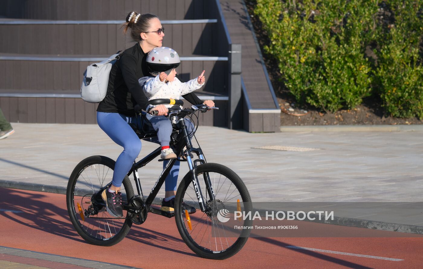 30 ноября в России отмечается День матери