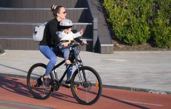 30 ноября в России отмечается День матери