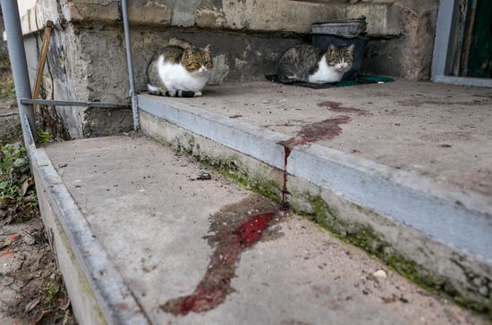 Последствия обстрела в ДНР