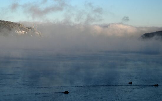 Морозная погода в Красноярске