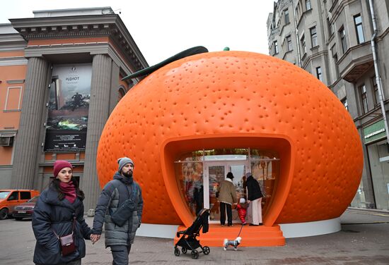 Арт-павильон "Мандарин" в Москве