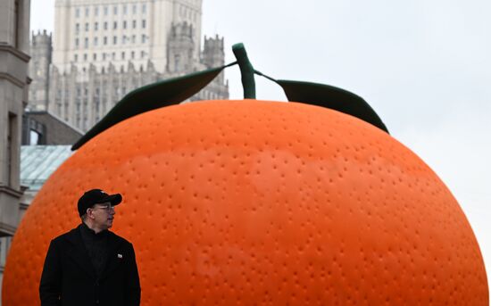Арт-павильон "Мандарин" в Москве