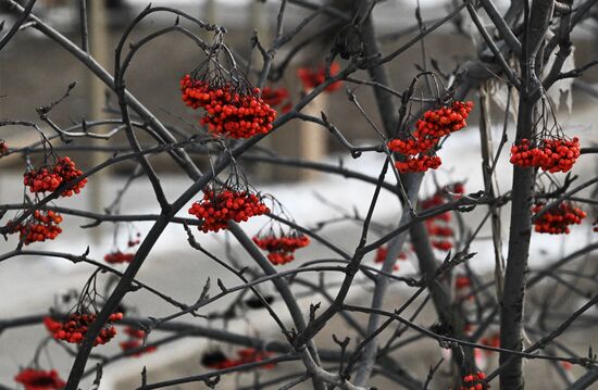 Повседневная жизнь во Владивостоке