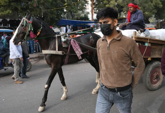 Города мира. Дели