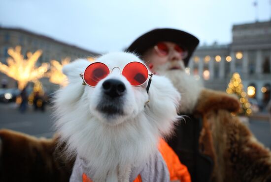 Новогоднее украшение Санкт-Петербурга