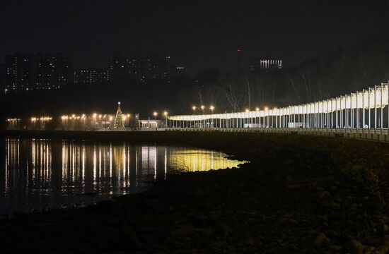 Каток на Царской набережной музея-заповедника "Коломенское"