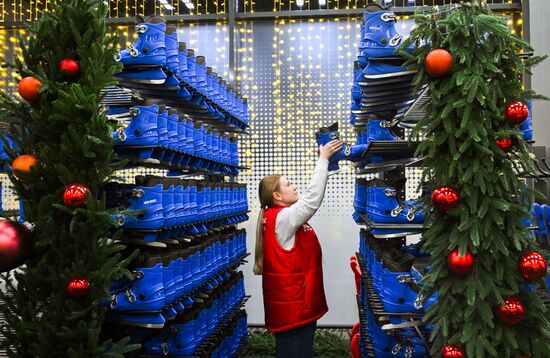 Каток на Царской набережной музея-заповедника "Коломенское"