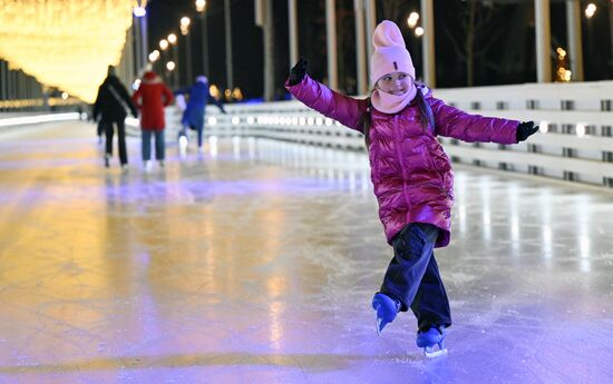 Каток на Царской набережной музея-заповедника "Коломенское"