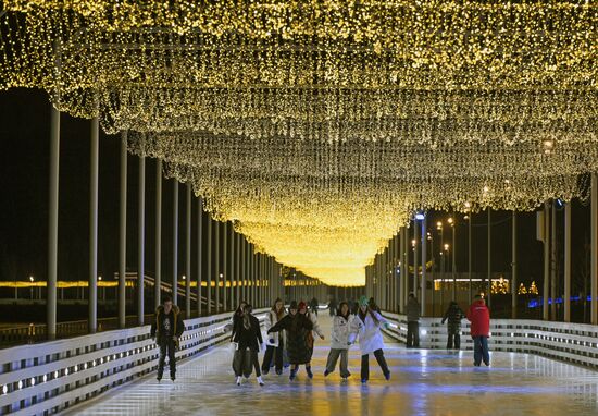 Каток на Царской набережной музея-заповедника "Коломенское"