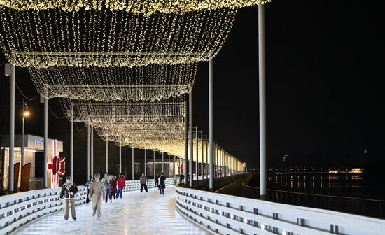 Каток на Царской набережной музея-заповедника "Коломенское"