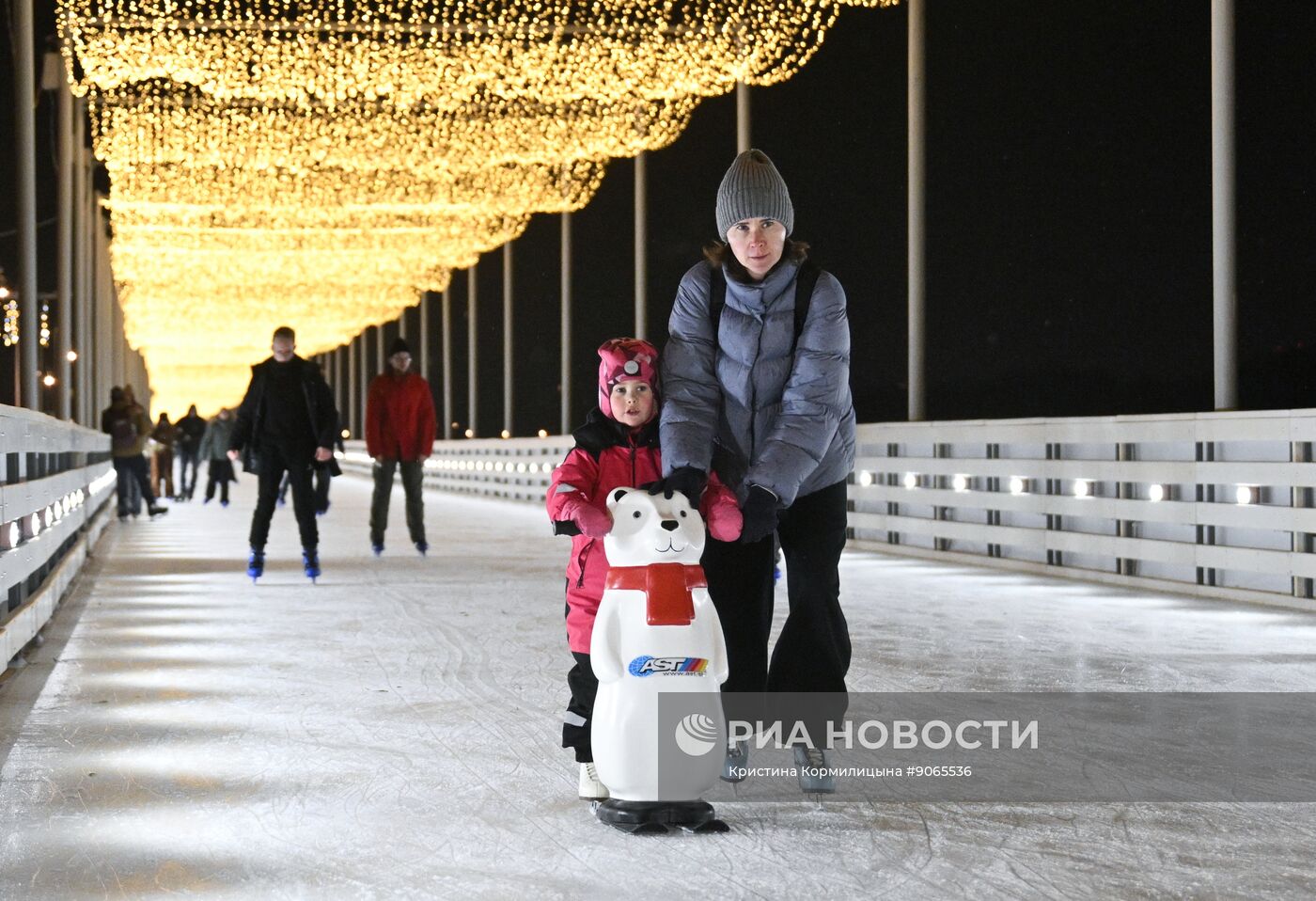 Каток на Царской набережной музея-заповедника "Коломенское"