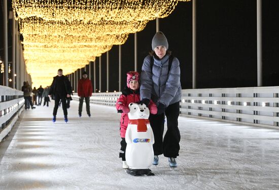 Каток на Царской набережной музея-заповедника "Коломенское"