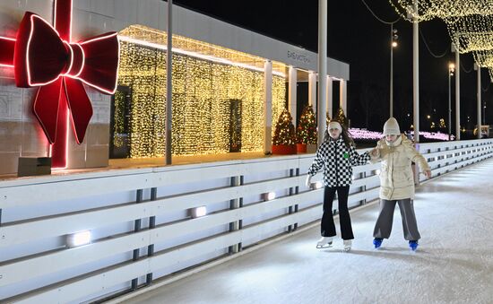 Каток на Царской набережной музея-заповедника "Коломенское"