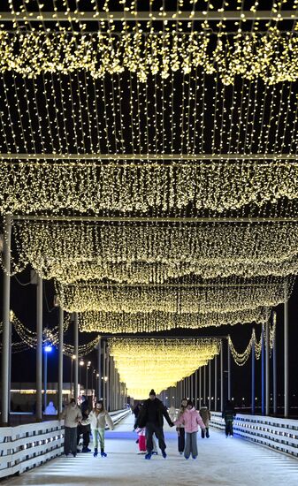 Каток на Царской набережной музея-заповедника "Коломенское"