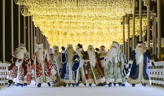 Каток на Царской набережной музея-заповедника "Коломенское"