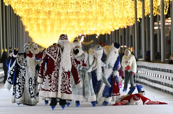 Каток на Царской набережной музея-заповедника "Коломенское"
