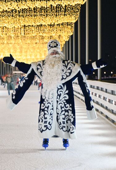 Каток на Царской набережной музея-заповедника "Коломенское"