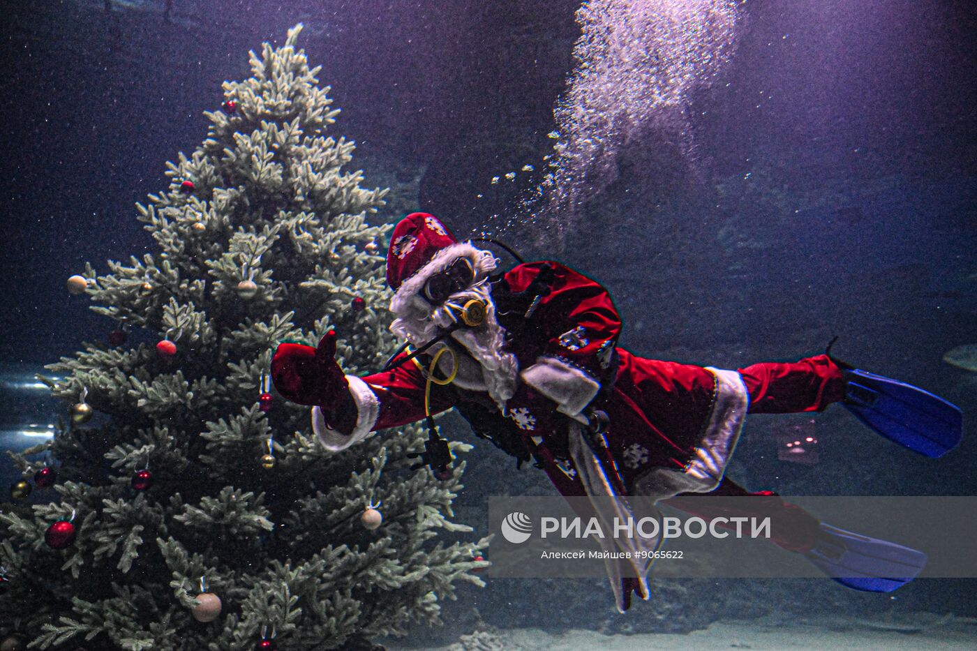 Подводный новогодний перформанс в "Москвариуме" на ВДНХ