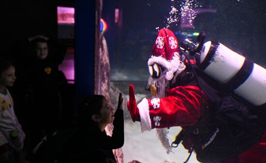 Погружение Деда Мороза к подводной новогодней ёлке