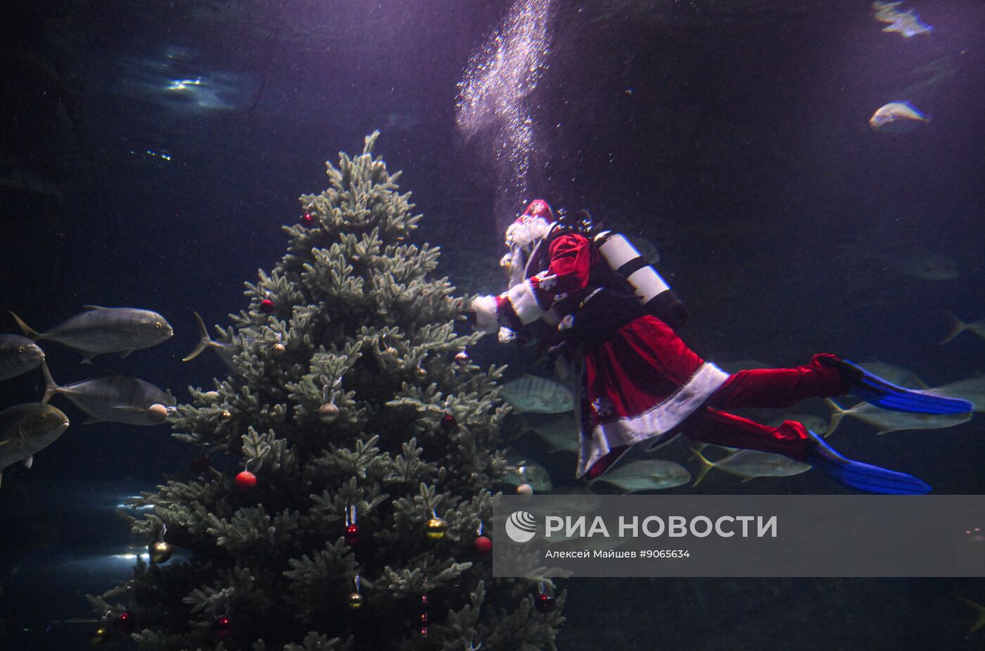 Подводный новогодний перформанс в "Москвариуме" на ВДНХ