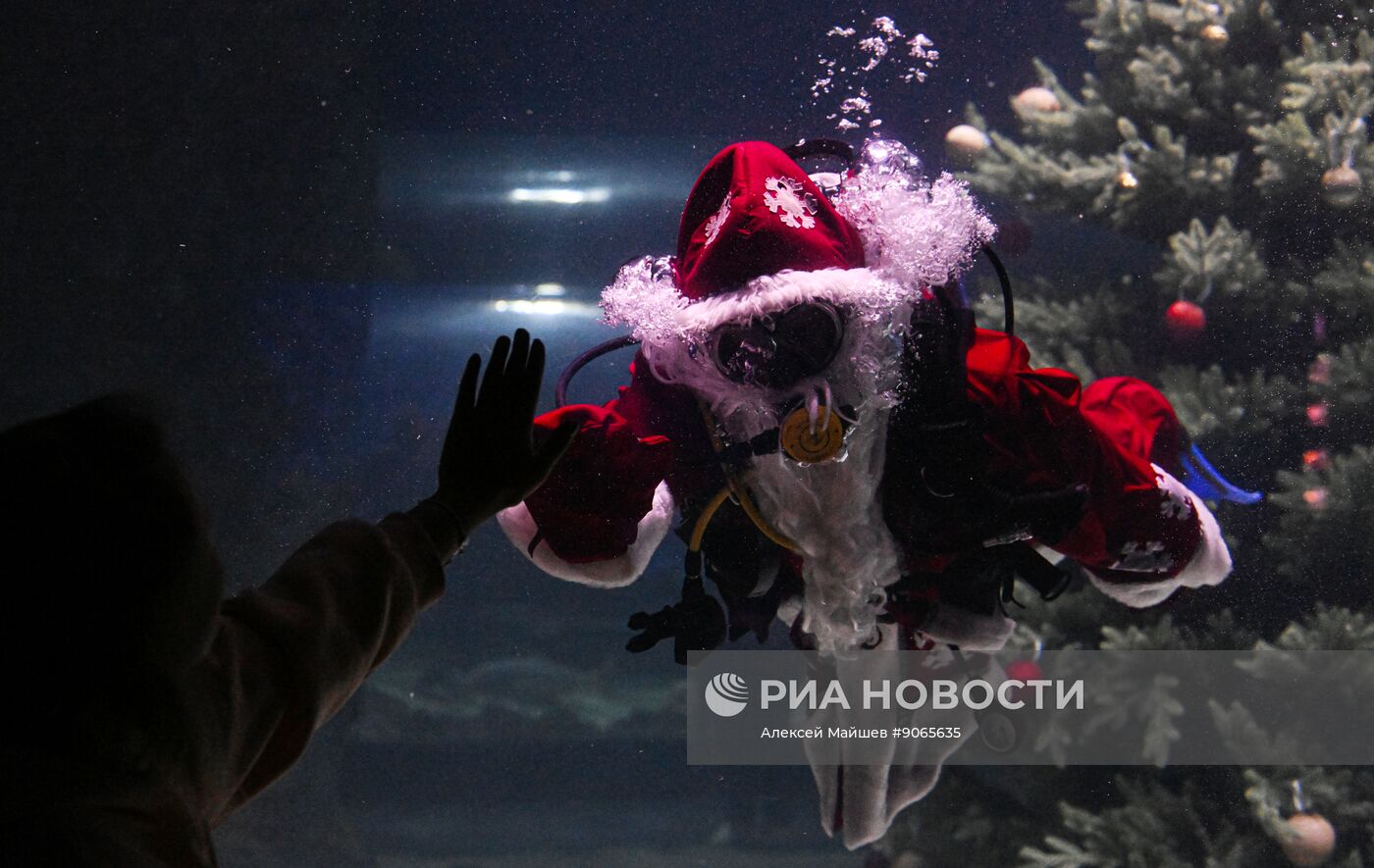 Подводный новогодний перформанс в "Москвариуме" на ВДНХ