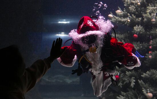 Подводный новогодний перформанс в "Москвариуме" на ВДНХ