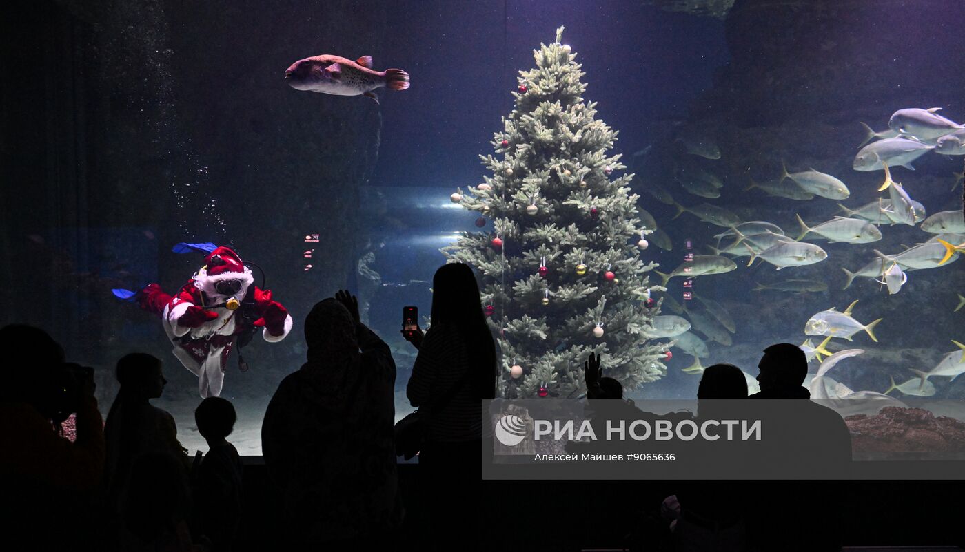 Подводный новогодний перформанс в "Москвариуме" на ВДНХ
