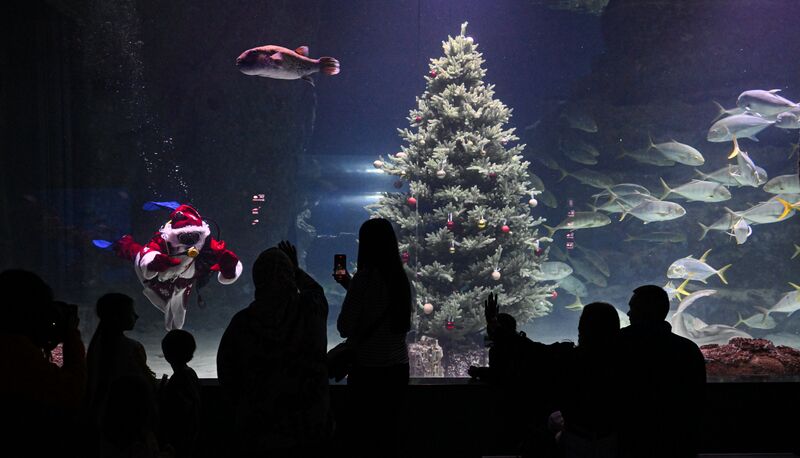 Подводный новогодний перформанс в "Москвариуме" на ВДНХ