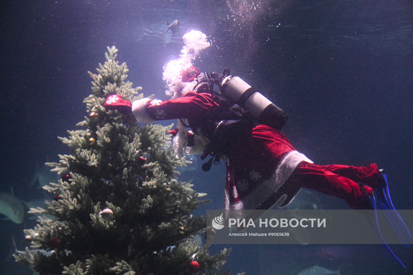 Подводный новогодний перформанс в "Москвариуме" на ВДНХ