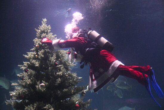 Подводный новогодний перформанс в "Москвариуме" на ВДНХ