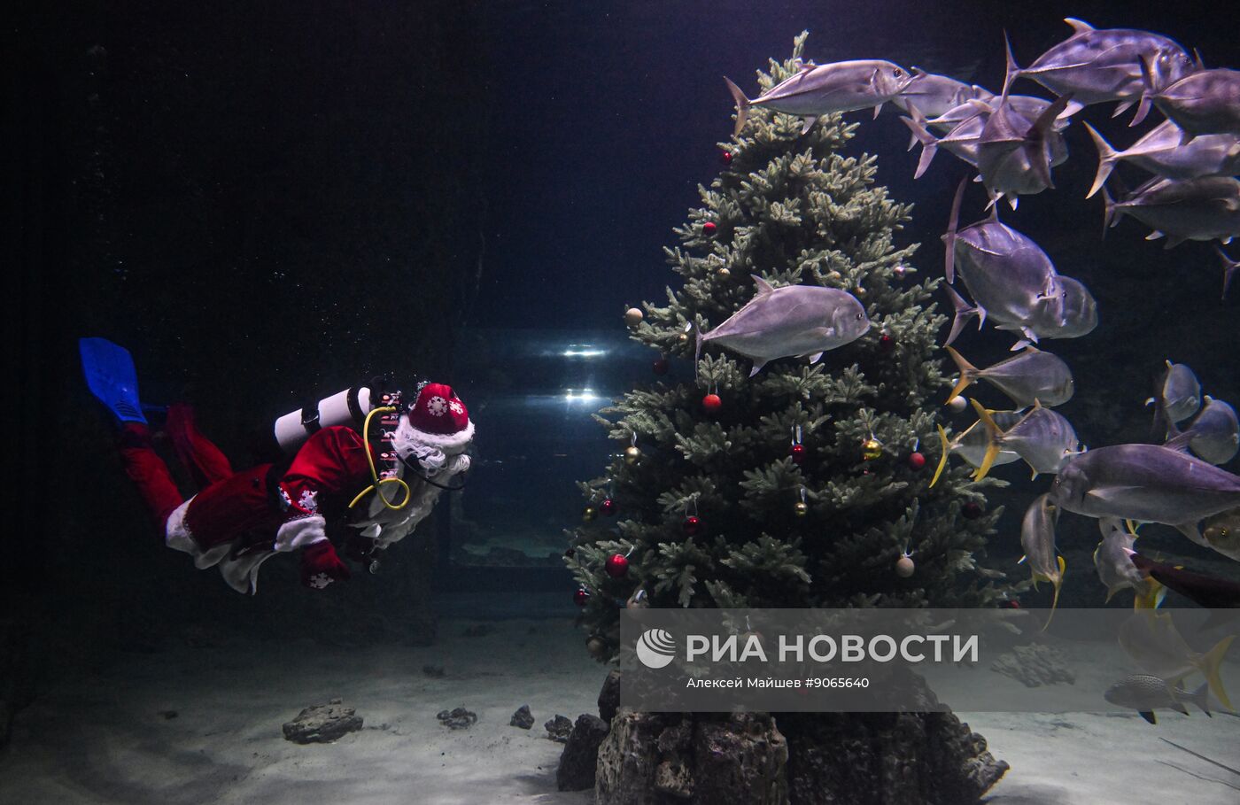 Подводный новогодний перформанс в "Москвариуме" на ВДНХ