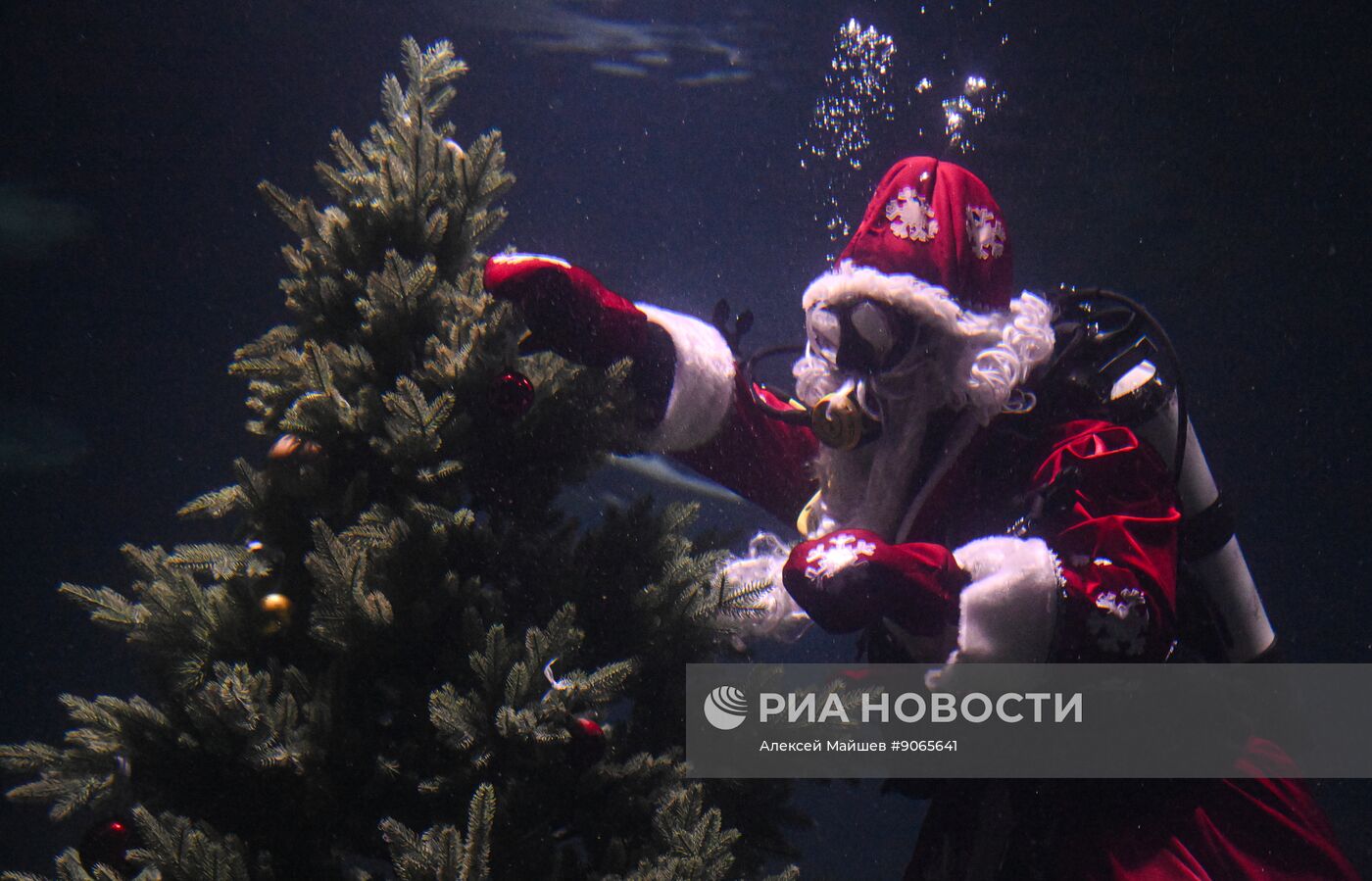 Подводный новогодний перформанс в "Москвариуме" на ВДНХ