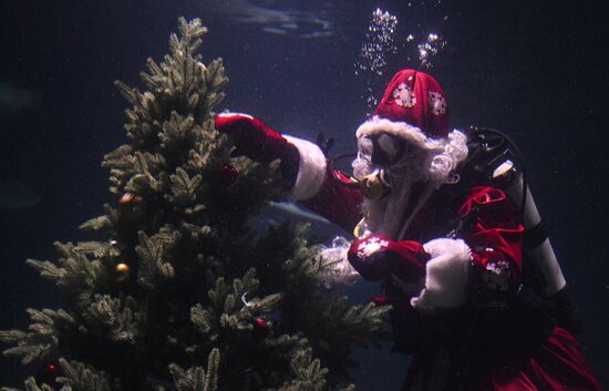 Подводный новогодний перформанс в "Москвариуме" на ВДНХ